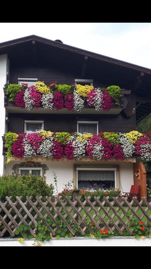왈츠시 Haus Bergblick 아파트 외부 사진
